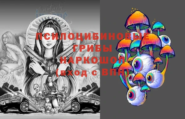 дурь Переславль-Залесский