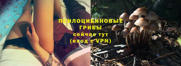 дурь Переславль-Залесский