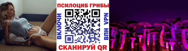 Галлюциногенные грибы MAGIC MUSHROOMS  купить   Шенкурск 